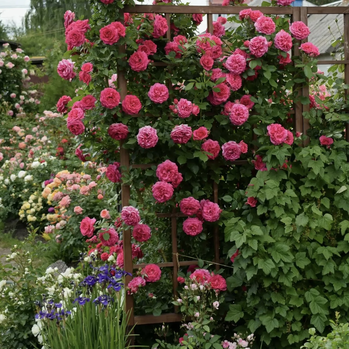 Маритим (Maritim) в Уфе