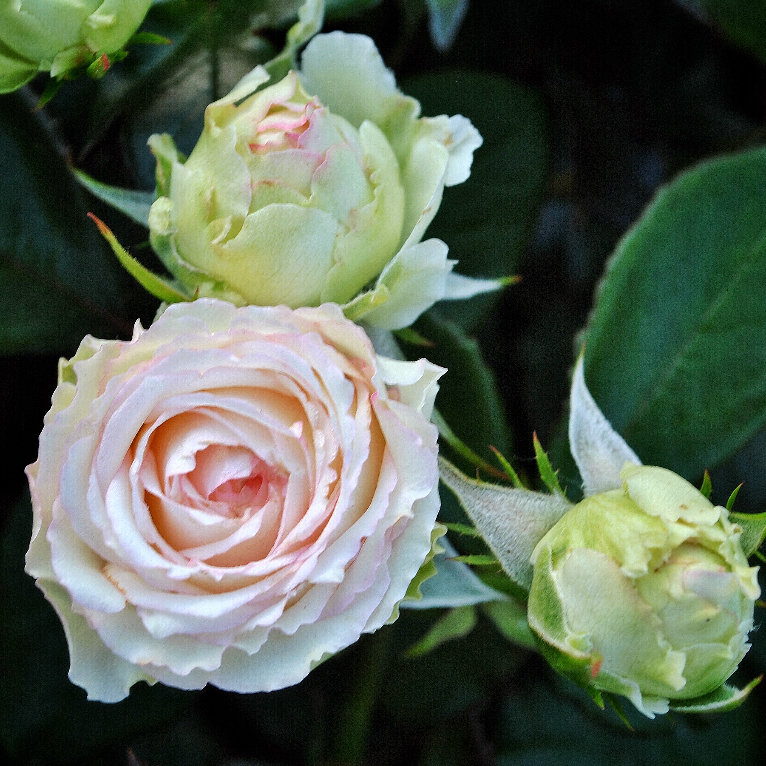 Бидермайер (Biedermeier) в Уфе