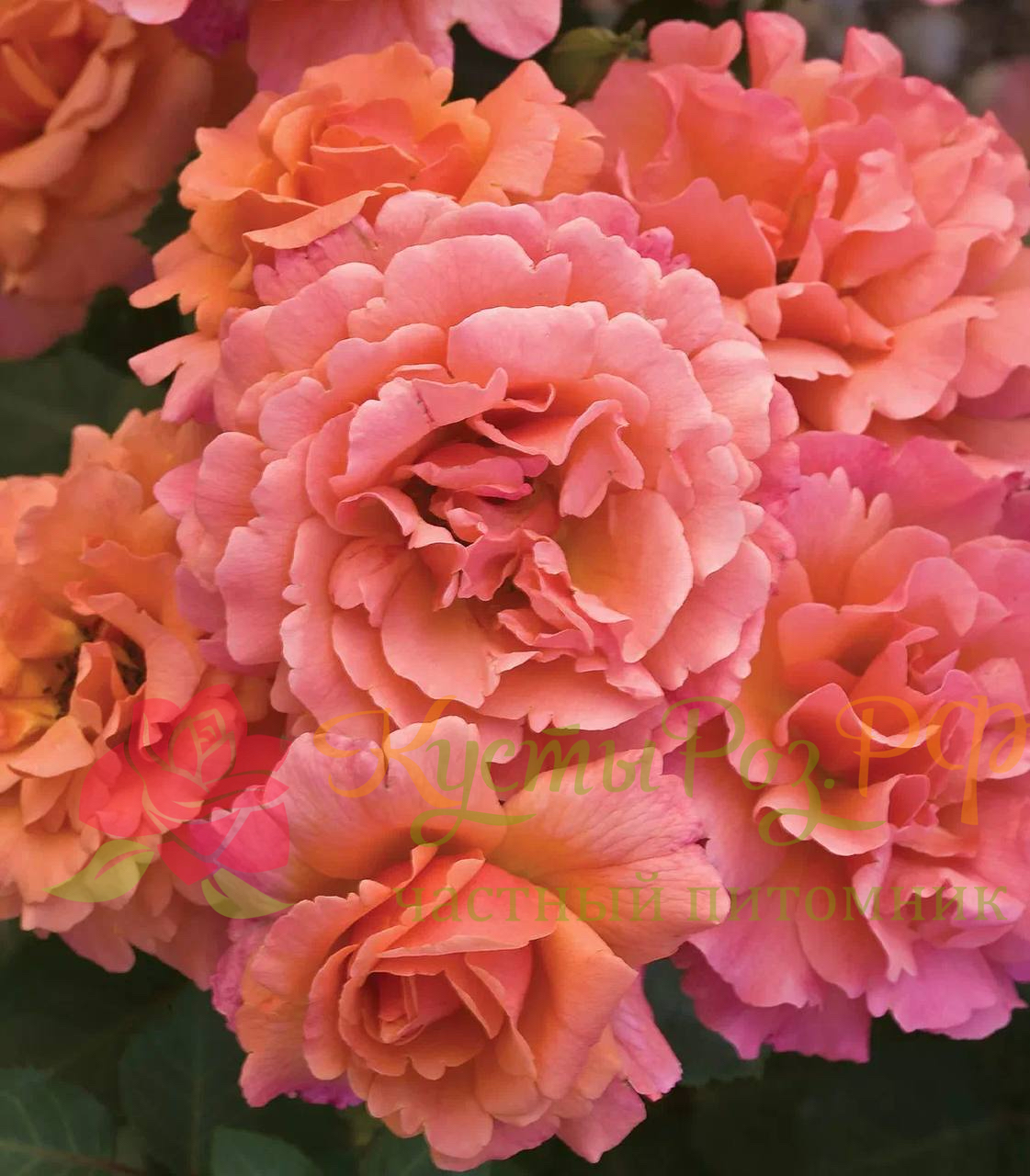 Изи даз Ит (Easy Does It) в Уфе