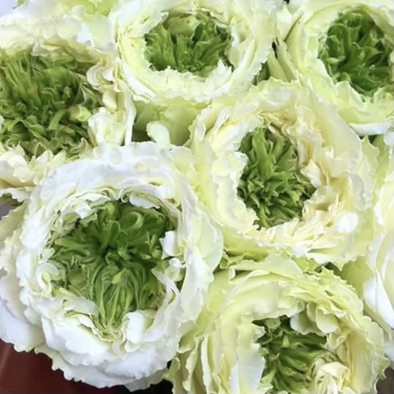 Грин Ай в Уфе