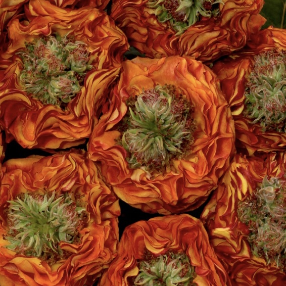 Флеш Ай в Уфе