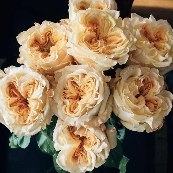Веддинг Экспрешн  (Wedding X-Pression) в Уфе