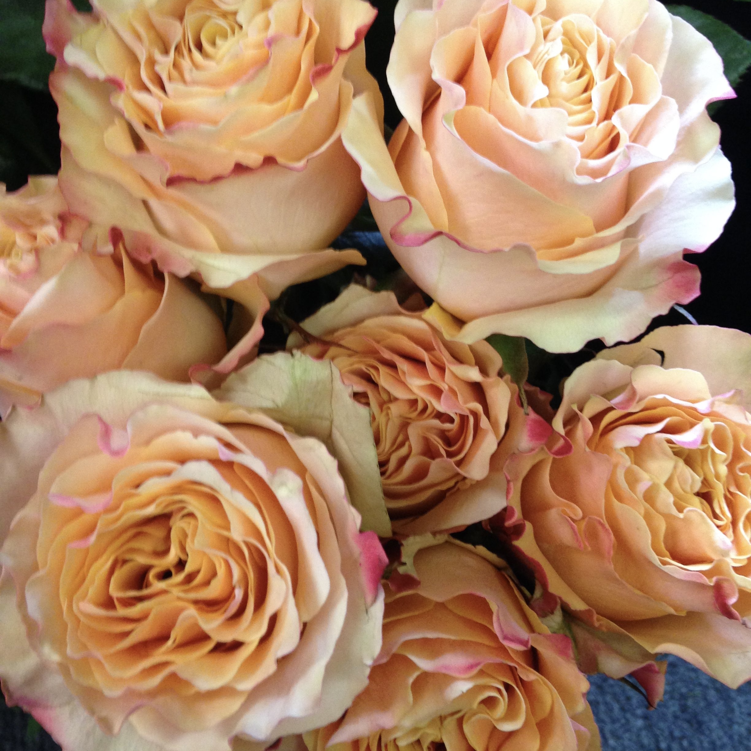 Карпе Диэм в Уфе