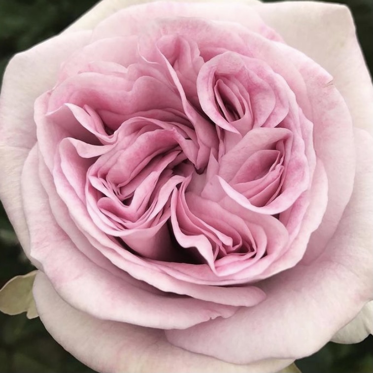 Пачули в Уфе