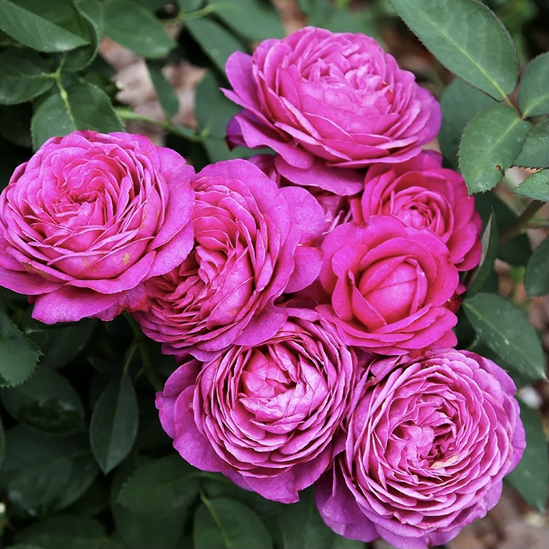 Хайди Клум в Уфе