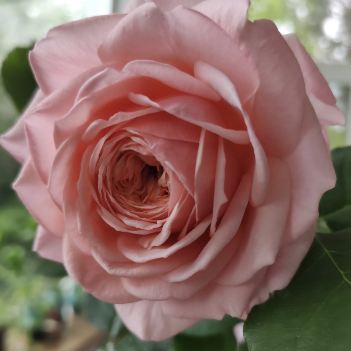 Квинси Джонс в Уфе