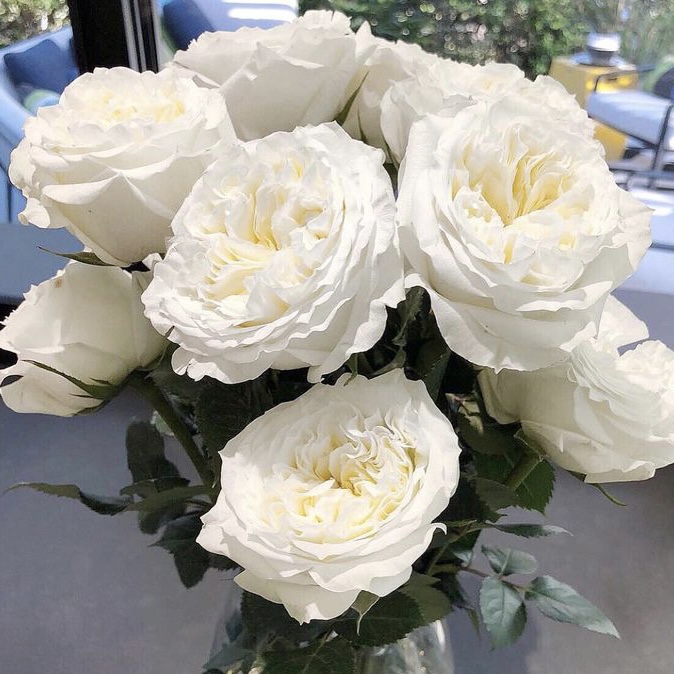 Майра Вайт  (Mayra’s White) в Уфе