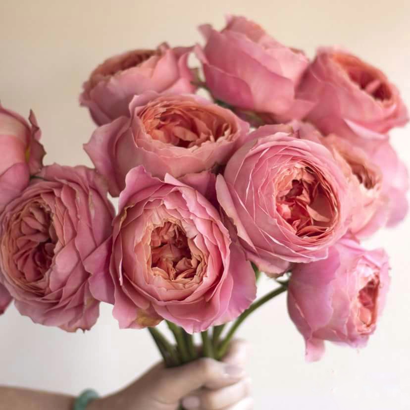 Романтик Антик в Уфе