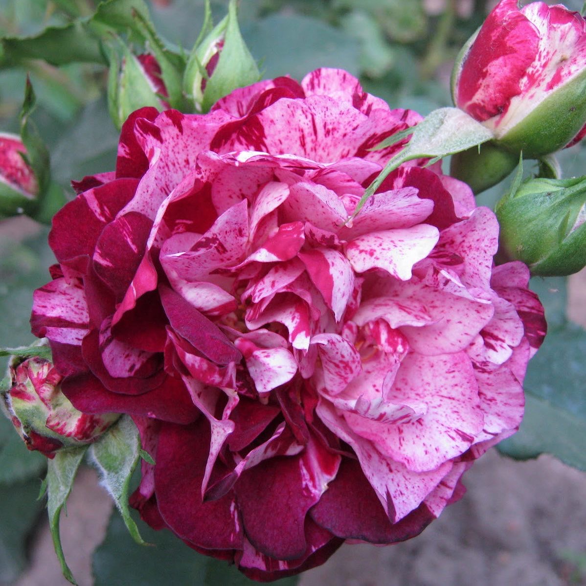 Нью Имэджин в Уфе