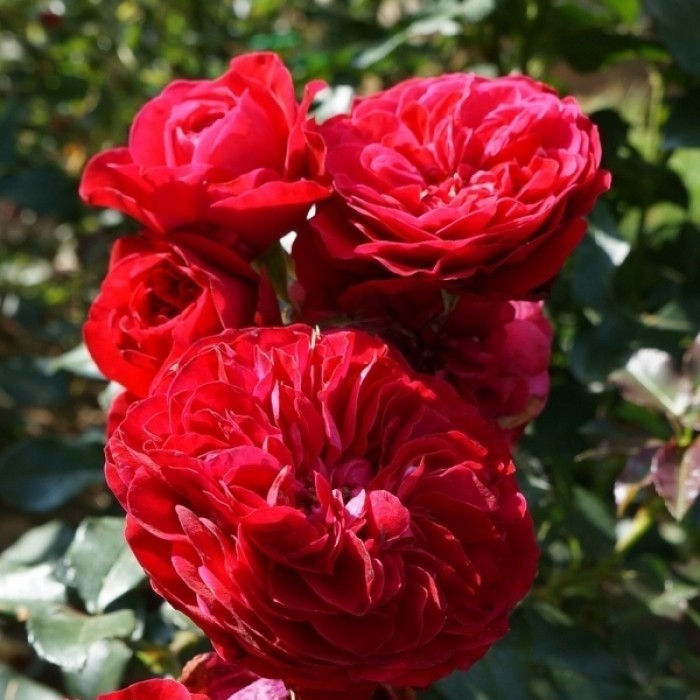 Мона Лиза в Уфе