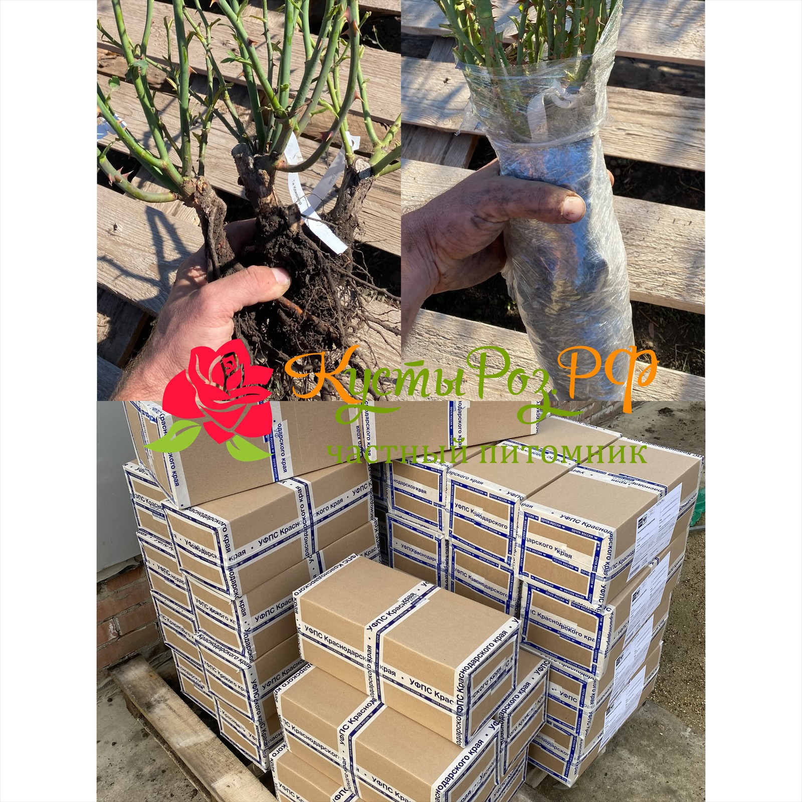 Продолжаем Приём заказов на Осень 2025!